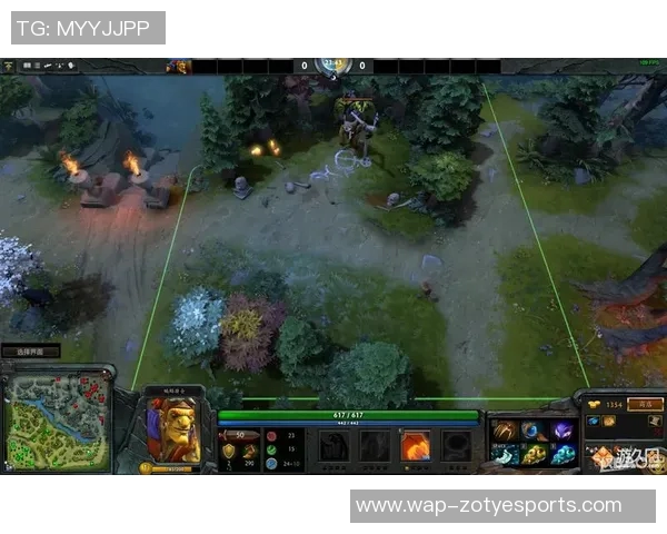 陈娜深度解析DOTA2游戏策略与技巧分享，助你提升战斗水平