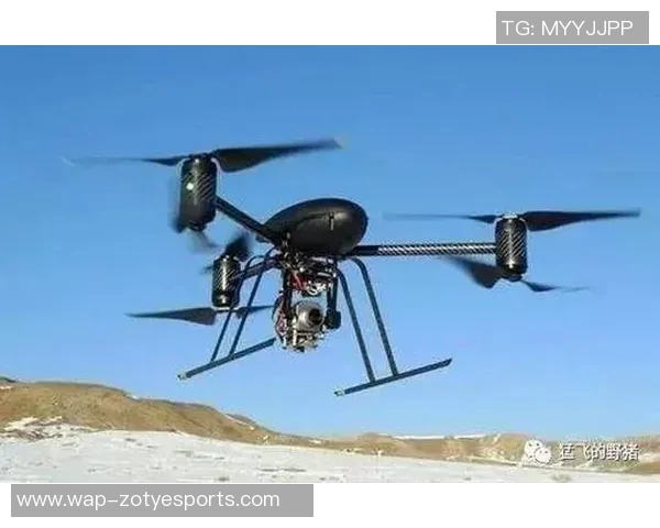 热议DOTA2LNG战术变革引发的战略思考与未来发展趋势分析